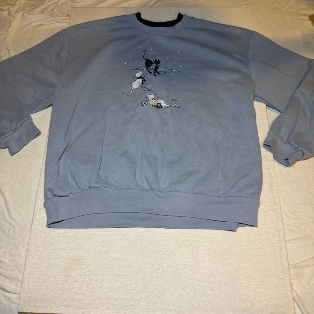 Stylish Light Blue Crewneck Sweater